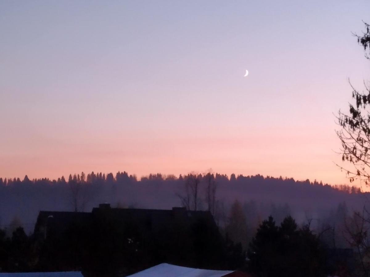 Apartamenty Nad Mlynowka Chocholow Luaran gambar